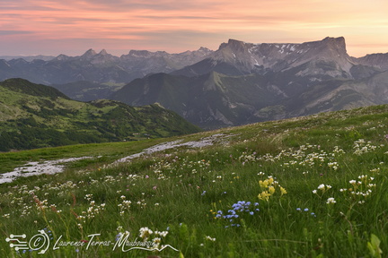 Lever de soleil sur le plateau de Ceüse, Sentier de la crête